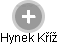  Hynek K. - Vizualizace  propojení osoby a firem v obchodním rejstříku