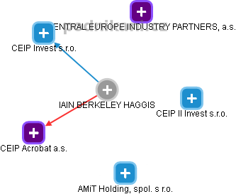 IAIN BERKELEY HAGGIS - Vizualizace  propojení osoby a firem v obchodním rejstříku
