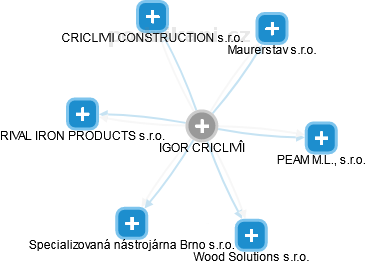 IGOR CRICLIVII - Vizualizace  propojení osoby a firem v obchodním rejstříku