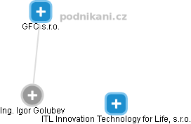 IGOR GOLUBEV - Vizualizace  propojení osoby a firem v obchodním rejstříku