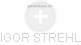 IGOR STREHL - Vizualizace  propojení osoby a firem v obchodním rejstříku