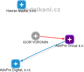 IGOR VORONIN - Vizualizace  propojení osoby a firem v obchodním rejstříku