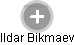 Ildar Bikmaev - Vizualizace  propojení osoby a firem v obchodním rejstříku