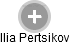 Ilia Pertsikov - Vizualizace  propojení osoby a firem v obchodním rejstříku