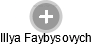 Illya Faybysovych - Vizualizace  propojení osoby a firem v obchodním rejstříku
