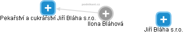  Ilona B. - Vizualizace  propojení osoby a firem v obchodním rejstříku