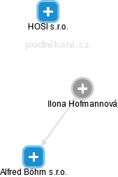 Ilona Hofmannová - Vizualizace  propojení osoby a firem v obchodním rejstříku