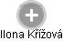  Ilona K. - Vizualizace  propojení osoby a firem v obchodním rejstříku