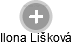  Ilona L. - Vizualizace  propojení osoby a firem v obchodním rejstříku
