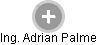  Adrian P. - Vizualizace  propojení osoby a firem v obchodním rejstříku
