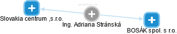  Adriana S. - Vizualizace  propojení osoby a firem v obchodním rejstříku