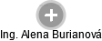 Alena Burianová - Vizualizace  propojení osoby a firem v obchodním rejstříku