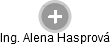 Alena Hasprová - Vizualizace  propojení osoby a firem v obchodním rejstříku