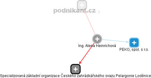  Alena H. - Vizualizace  propojení osoby a firem v obchodním rejstříku