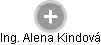 Alena Kindová - Vizualizace  propojení osoby a firem v obchodním rejstříku