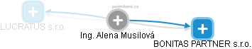 Alena Musilová - Vizualizace  propojení osoby a firem v obchodním rejstříku