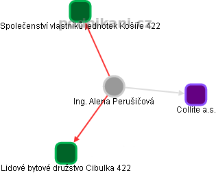 Alena Perušičová - Vizualizace  propojení osoby a firem v obchodním rejstříku