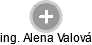 Alena Valová - Vizualizace  propojení osoby a firem v obchodním rejstříku