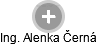  Alenka Č. - Vizualizace  propojení osoby a firem v obchodním rejstříku