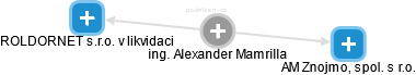  Alexander M. - Vizualizace  propojení osoby a firem v obchodním rejstříku
