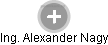  Alexander N. - Vizualizace  propojení osoby a firem v obchodním rejstříku