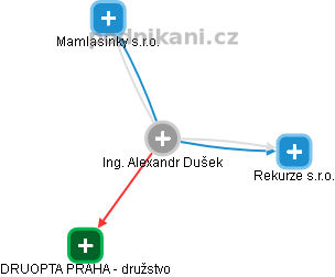 Alexandr Dušek - Vizualizace  propojení osoby a firem v obchodním rejstříku
