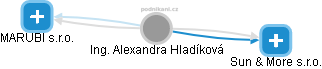  Alexandra H. - Vizualizace  propojení osoby a firem v obchodním rejstříku