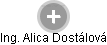 Alica Dostálová - Vizualizace  propojení osoby a firem v obchodním rejstříku