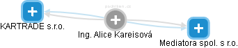  Alice K. - Vizualizace  propojení osoby a firem v obchodním rejstříku
