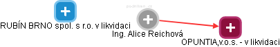 Alice Reichová - Vizualizace  propojení osoby a firem v obchodním rejstříku
