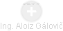 Aloiz Gálovič - Vizualizace  propojení osoby a firem v obchodním rejstříku