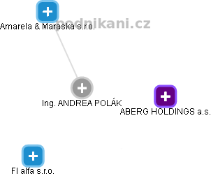 ANDREA POLÁK - Vizualizace  propojení osoby a firem v obchodním rejstříku