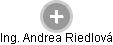 Andrea Riedlová - Vizualizace  propojení osoby a firem v obchodním rejstříku