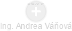 Andrea Váňová - Vizualizace  propojení osoby a firem v obchodním rejstříku