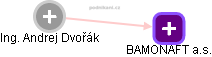 Andrej Dvořák - Vizualizace  propojení osoby a firem v obchodním rejstříku