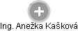 Anežka K. - Vizualizace  propojení osoby a firem v obchodním rejstříku