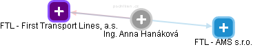  Anna H. - Vizualizace  propojení osoby a firem v obchodním rejstříku