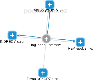 Anna Kołorzová - Vizualizace  propojení osoby a firem v obchodním rejstříku