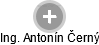  Antonín Č. - Vizualizace  propojení osoby a firem v obchodním rejstříku