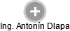 Antonín Dlapa - Vizualizace  propojení osoby a firem v obchodním rejstříku