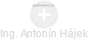  Antonín H. - Vizualizace  propojení osoby a firem v obchodním rejstříku
