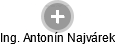  Antonín N. - Vizualizace  propojení osoby a firem v obchodním rejstříku