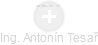  Antonín T. - Vizualizace  propojení osoby a firem v obchodním rejstříku