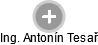  Antonín T. - Vizualizace  propojení osoby a firem v obchodním rejstříku