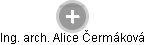  Alice Č. - Vizualizace  propojení osoby a firem v obchodním rejstříku