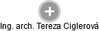  Tereza C. - Vizualizace  propojení osoby a firem v obchodním rejstříku