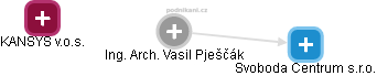 Vasil Pješčák - Vizualizace  propojení osoby a firem v obchodním rejstříku