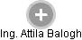 Attila Balogh - Vizualizace  propojení osoby a firem v obchodním rejstříku