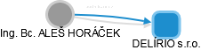 ALEŠ HORÁČEK - Vizualizace  propojení osoby a firem v obchodním rejstříku