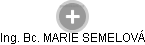  Marie S. - Vizualizace  propojení osoby a firem v obchodním rejstříku